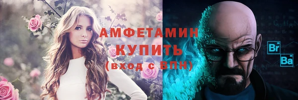 индика Балабаново