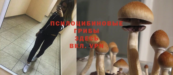 мяу мяу мука Балахна
