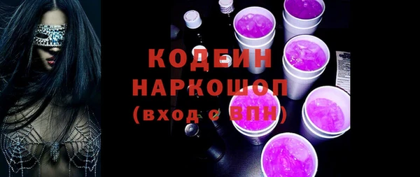индика Балабаново
