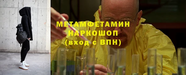 индика Балабаново
