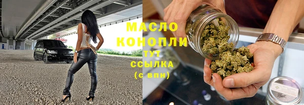 индика Балабаново