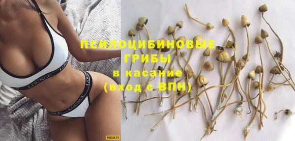 индика Балабаново